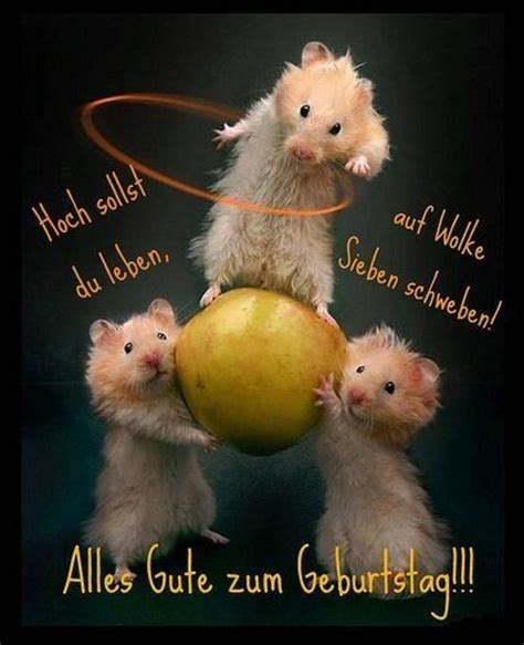 geburtstag bilder whatsapp|bilder zum geburtstag.